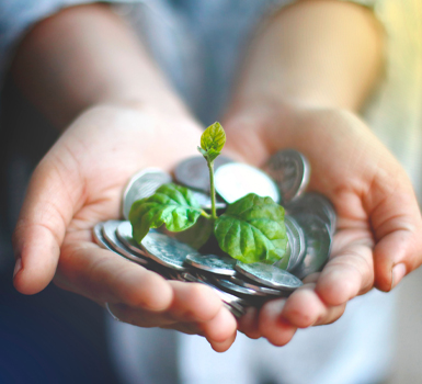 SMSF and trust lending advice services
